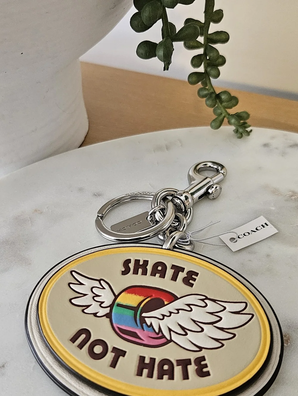 COACH Skate Not Hate Rainbow Wing Keychain ๐ - Picture 7 of 8